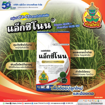 Artboard 1 copy 2AW แอ็กซิโนน AG ปี68 Web